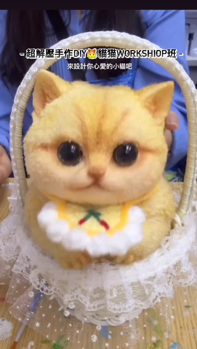 穿上花邊裝飾並坐在小籃內的手作貓咪